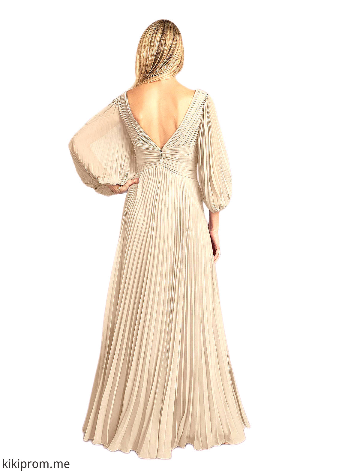 Aracely A-Line V-Neck Pleated Chiffon Floor-Length Dress STFP0022642