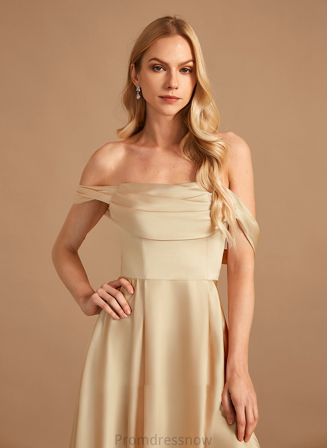 Neckline SplitFront A-Line Floor-Length Fabric Silhouette Length Pockets Off-the-Shoulder Embellishment Brianna Sleeveless Bridesmaid Dresses